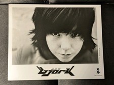 Bjork Vintage 1997 8x10 Elektra Entertainment Promo Photo By Phil Poynter picture