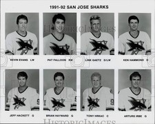1991 Press Photo San Jose Sharks hockey head shots - srs01568 picture