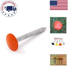 Compact Hi-Vis Survey Stake: 6.5