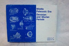 Middle Paleozoic Era: Devonian and Silurian Periods Fossils Science Kit picture