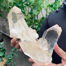 2.7LB A++Large Natural clear white Crystal Himalayan quartz cluster /mineralsls picture