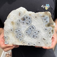 3.9LB Natural banded Moss Agate crystal slice rough mineral specimen picture
